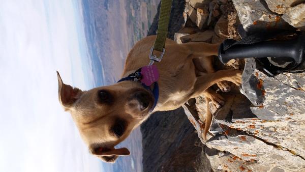 /Images/uploads/Humane Society of Utah/HSUCalendar/entries/1336thumb.jpg